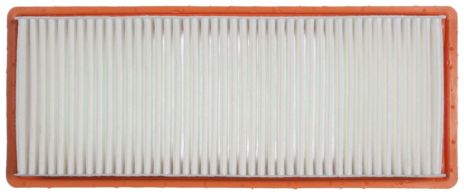 Mahle Air Filter