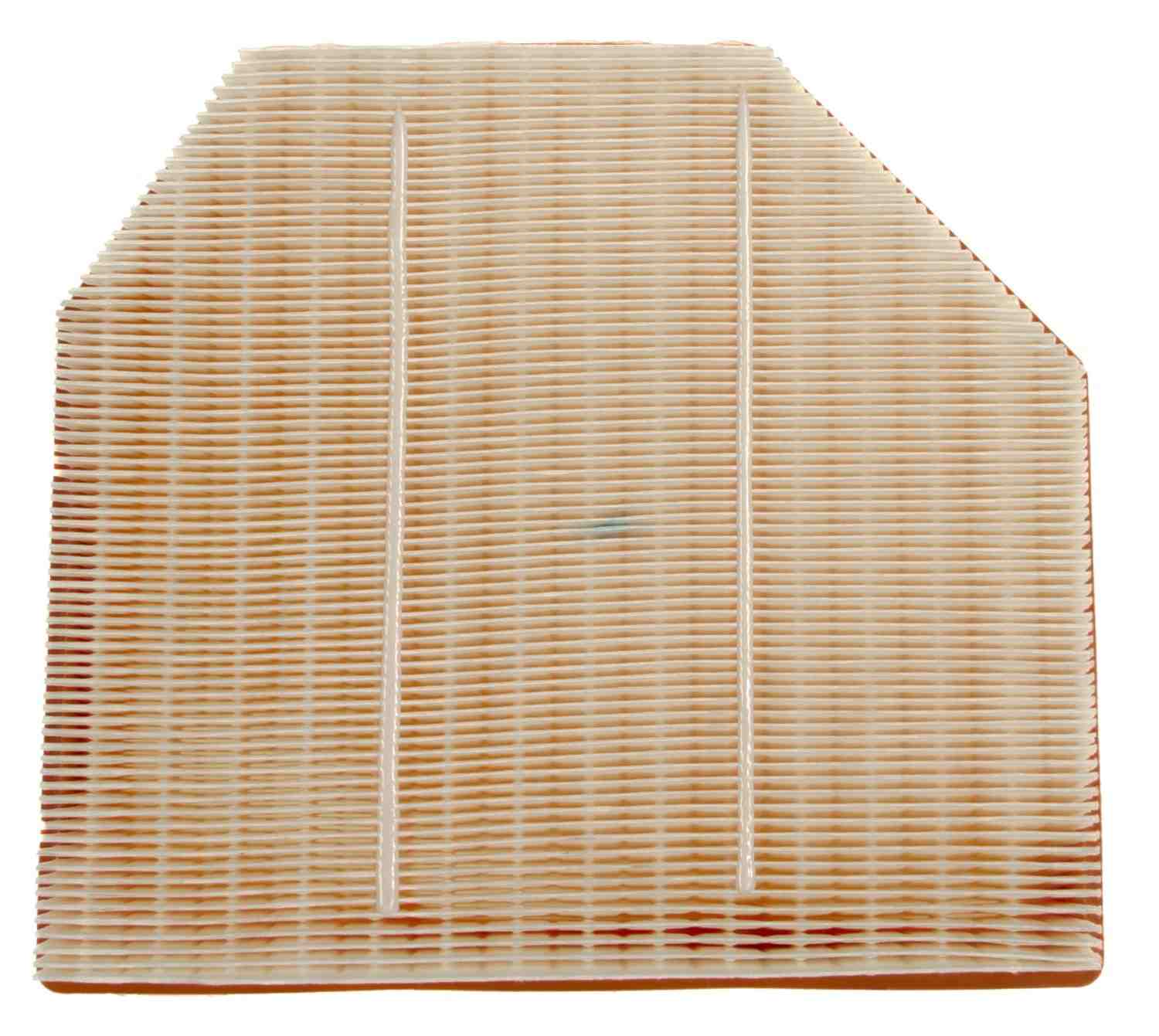 Mahle Air Filter