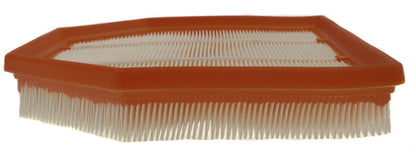 Mahle Air Filter