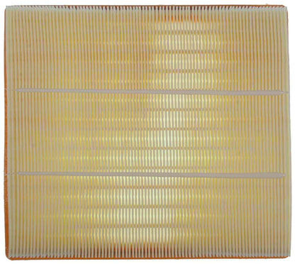 Mahle Air Filter