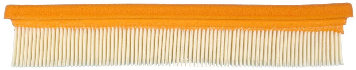 Mahle Air Filter