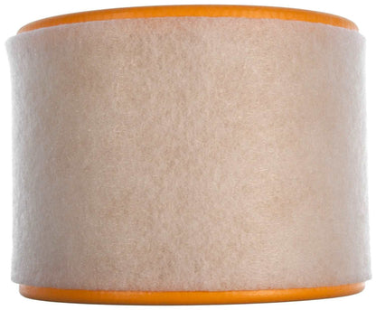 Clevite Air Filter