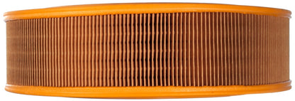 Mahle Air Filter