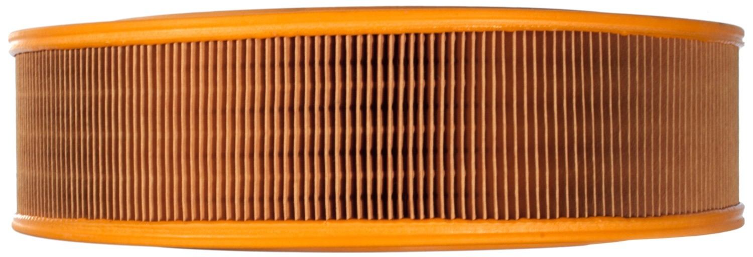 Mahle Air Filter
