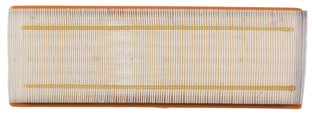 Mahle Air Filter