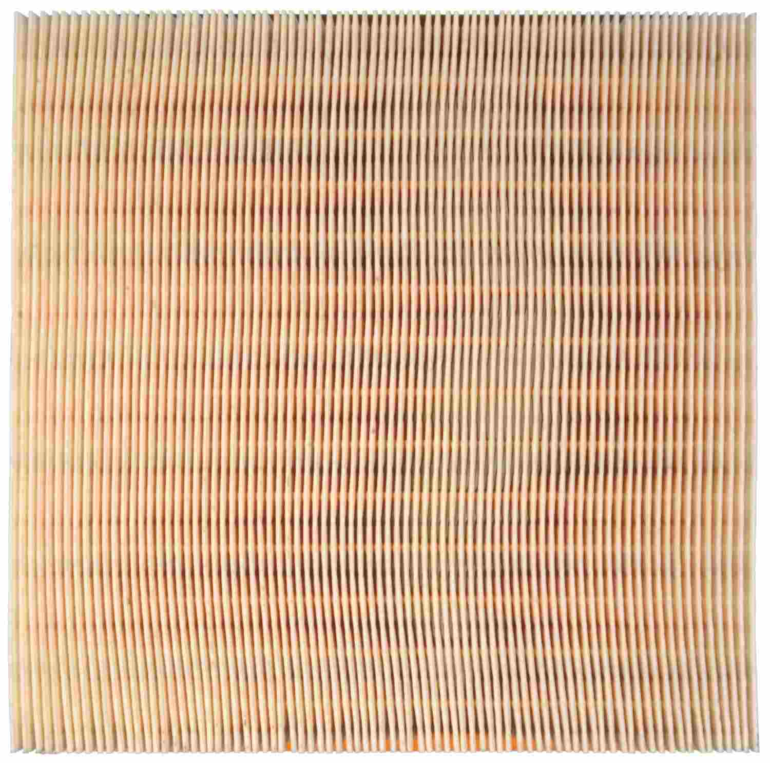 Clevite Air Filter