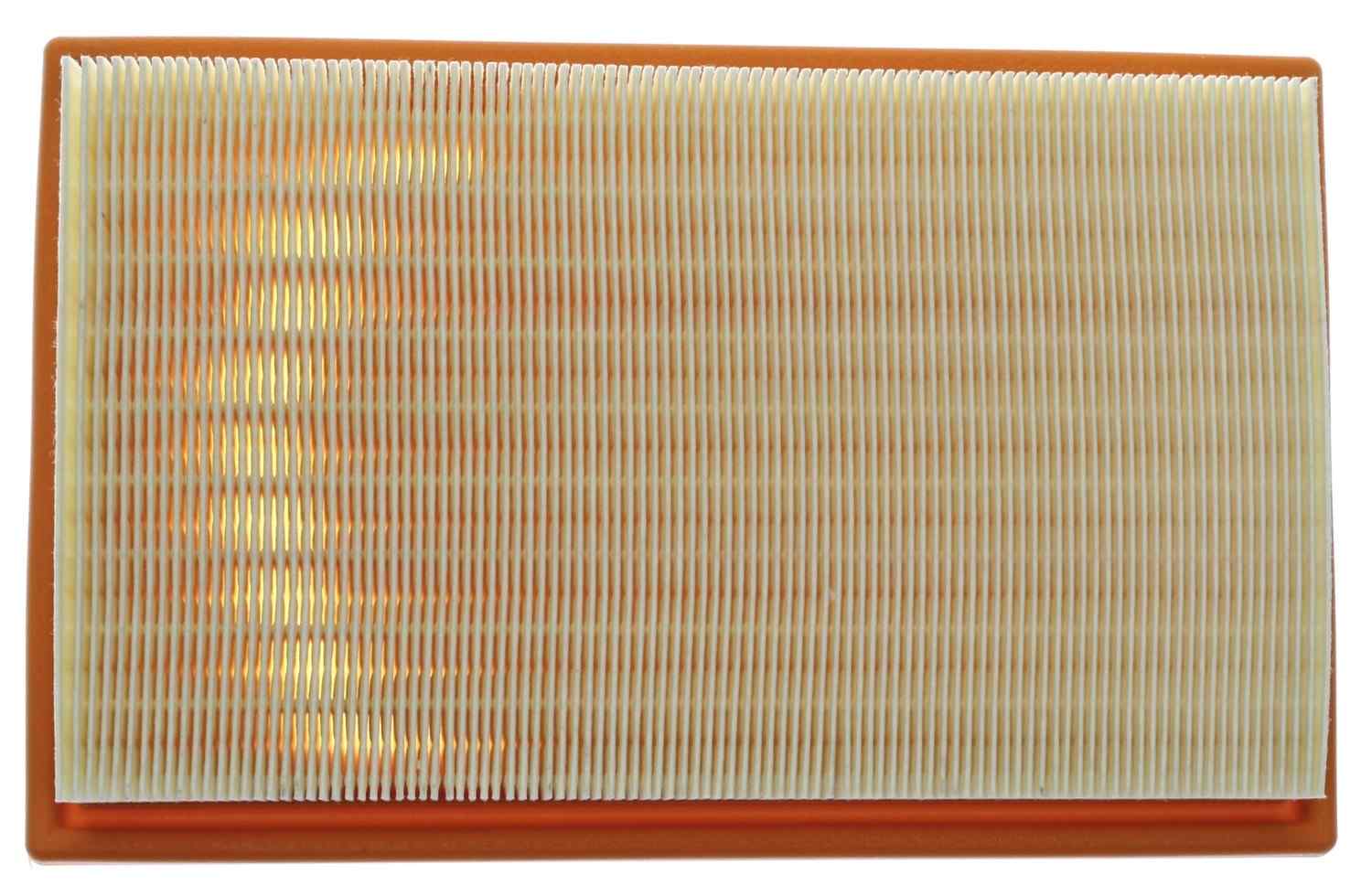 Mahle Air Filter