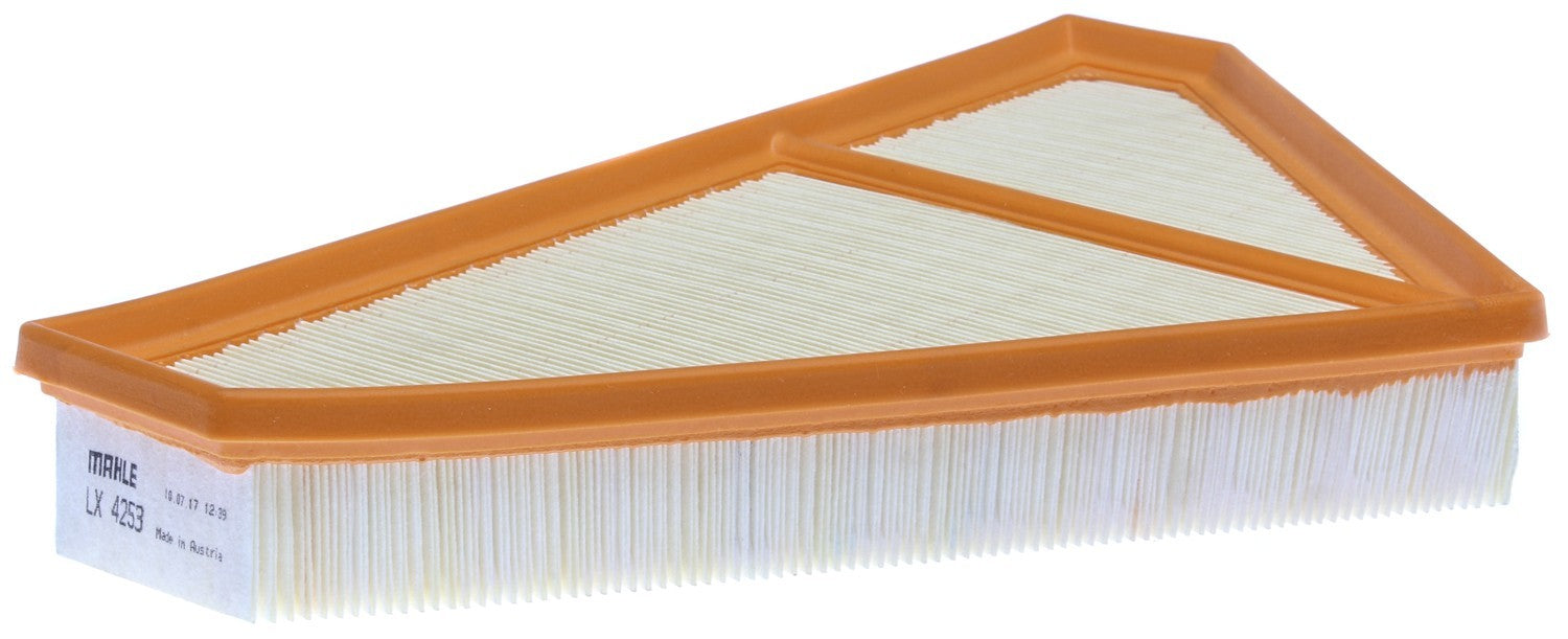 Mahle LX4253 image 2