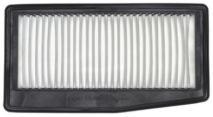 Mahle LX4387 main image
