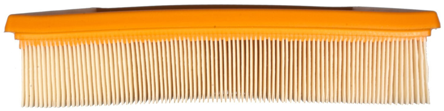Mahle Air Filter