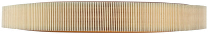 Mahle LX61