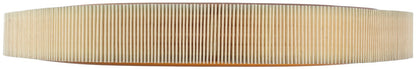 Clevite Air Filter