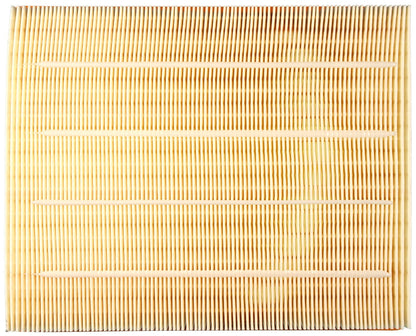 Clevite Air Filter