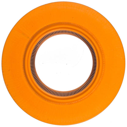 Mahle LX720