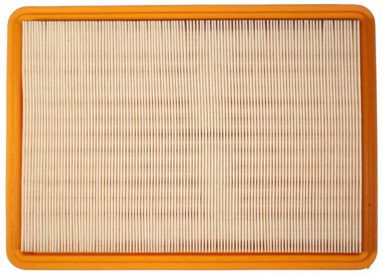 Mahle Air Filter