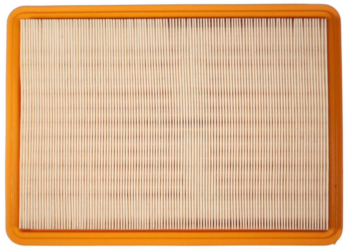 Mahle Air Filter