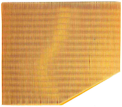 Mahle LX982