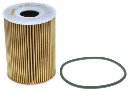 Mahle OX254D5