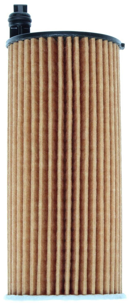 Mahle OX813/2D