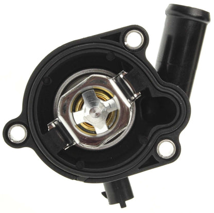 Mahle TM36103