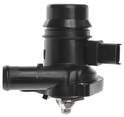 Mahle TM36103