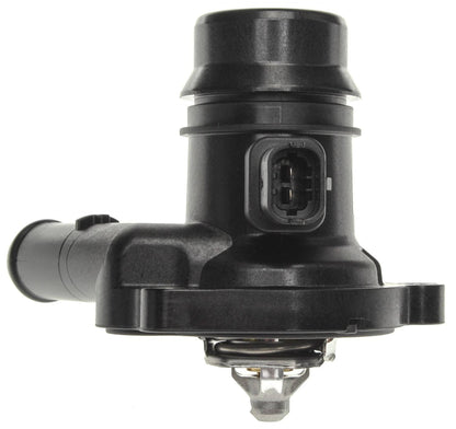 Mahle TM36103