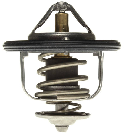 Mahle TX17182