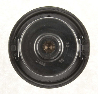 Mahle TX1975D