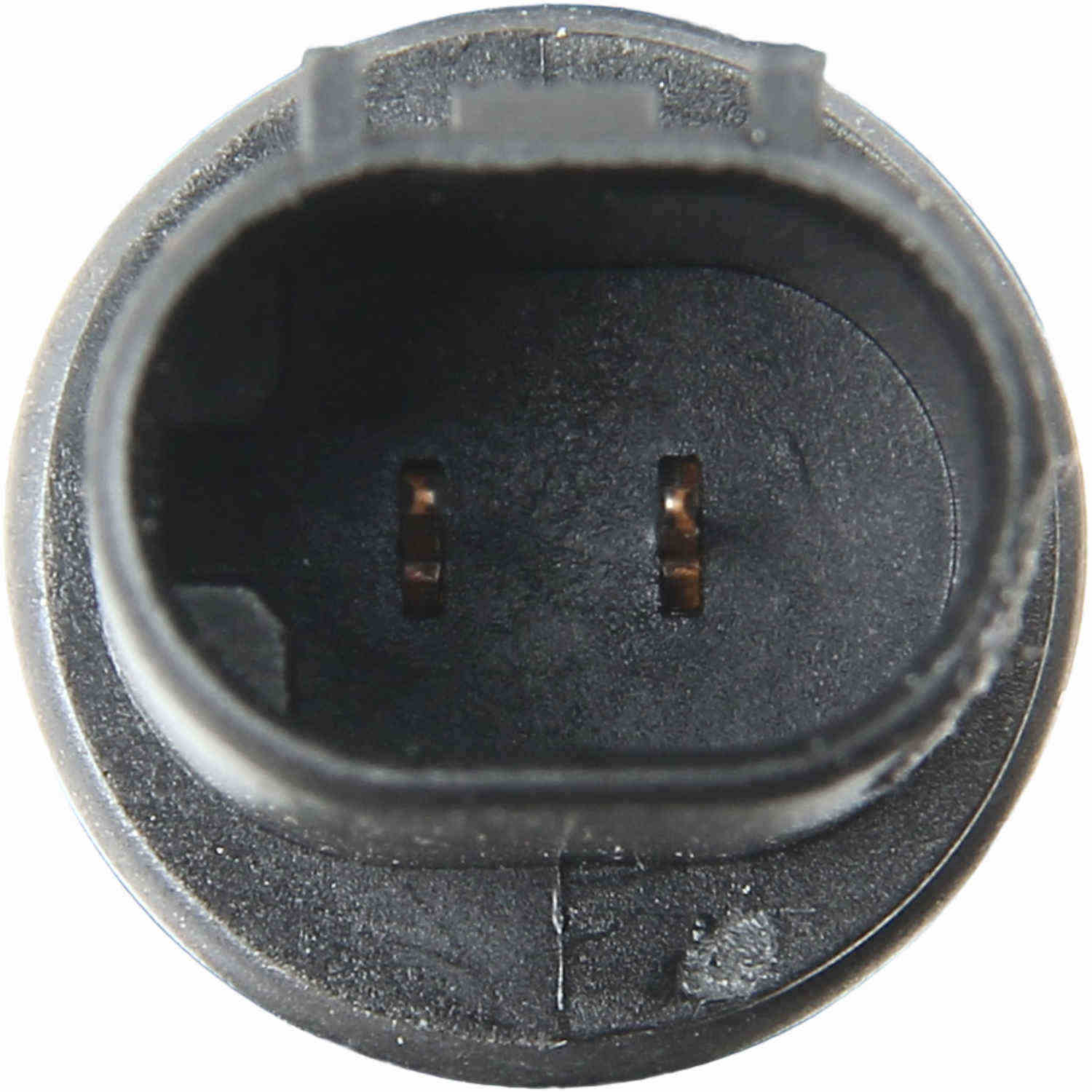 Marelli Turn Signal Light Assembly