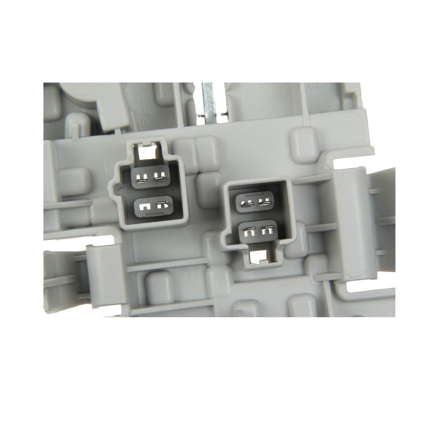 Marelli Tail Light Bulb Carrier