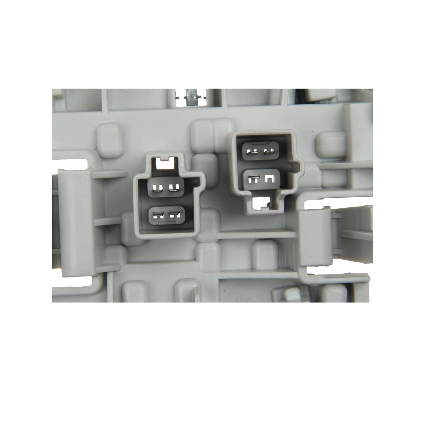 Marelli Tail Light Bulb Carrier