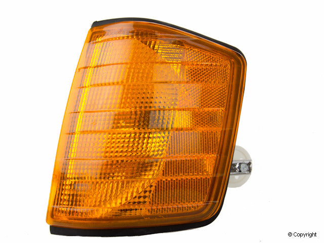 Marelli Turn Signal Light Assembly