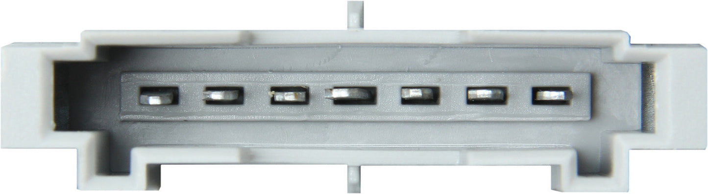 Marelli Tail Light