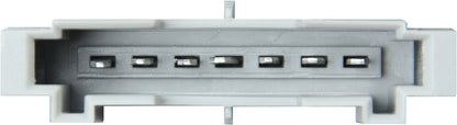 Marelli Tail Light