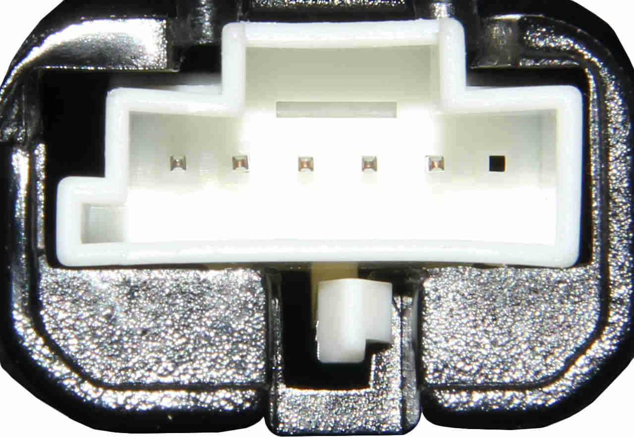 Marelli Tail Light