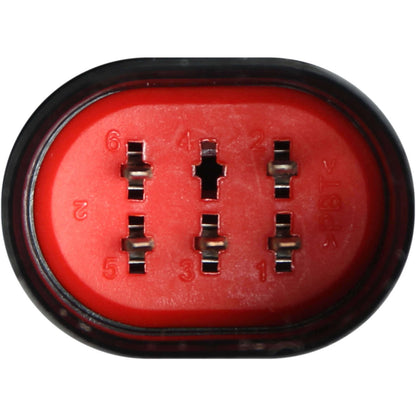 Marelli Tail Light