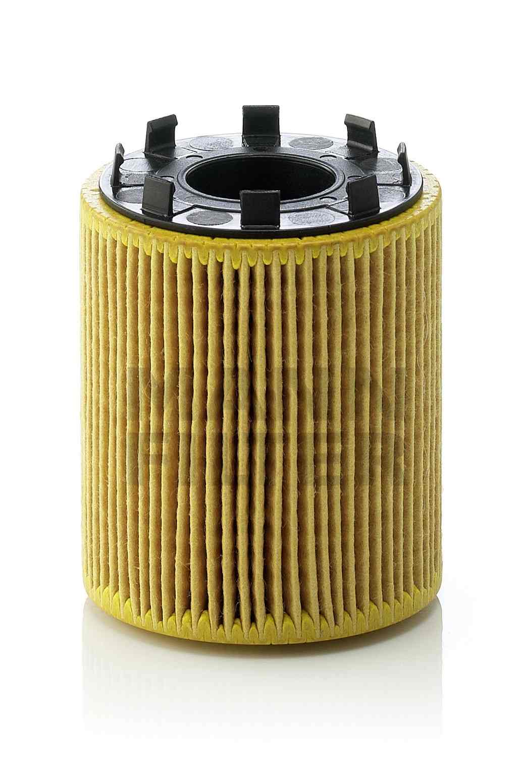 Mann HU713/1X