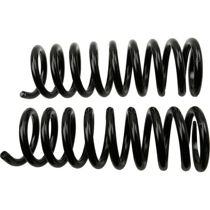 MOOG Chassis Products Coil Spring Set 8732