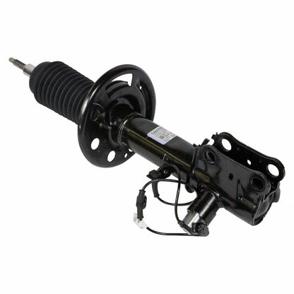 Motorcraft AST12316
