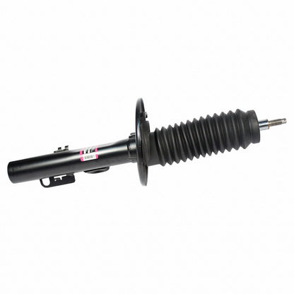 Motorcraft AST300