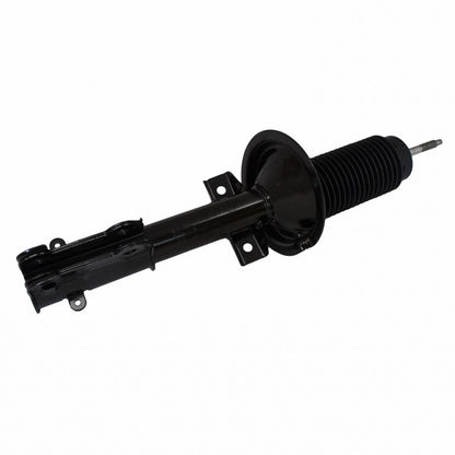 Motorcraft AST448