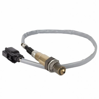 Motorcraft DY1244