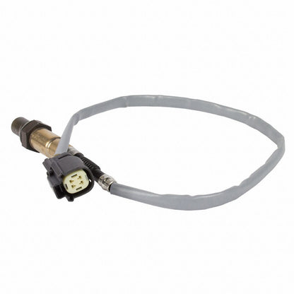 Motorcraft DY1244