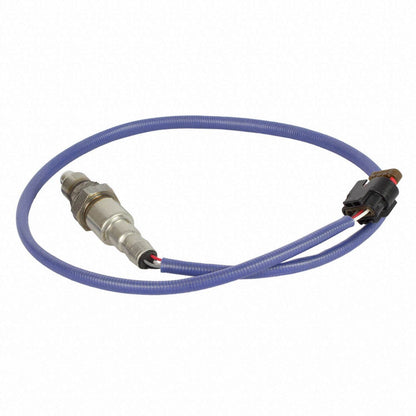 Motorcraft DY1310