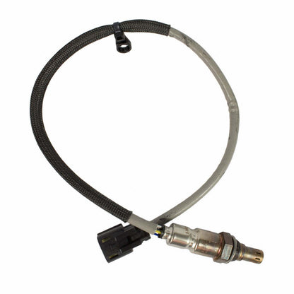 Motorcraft DY1346