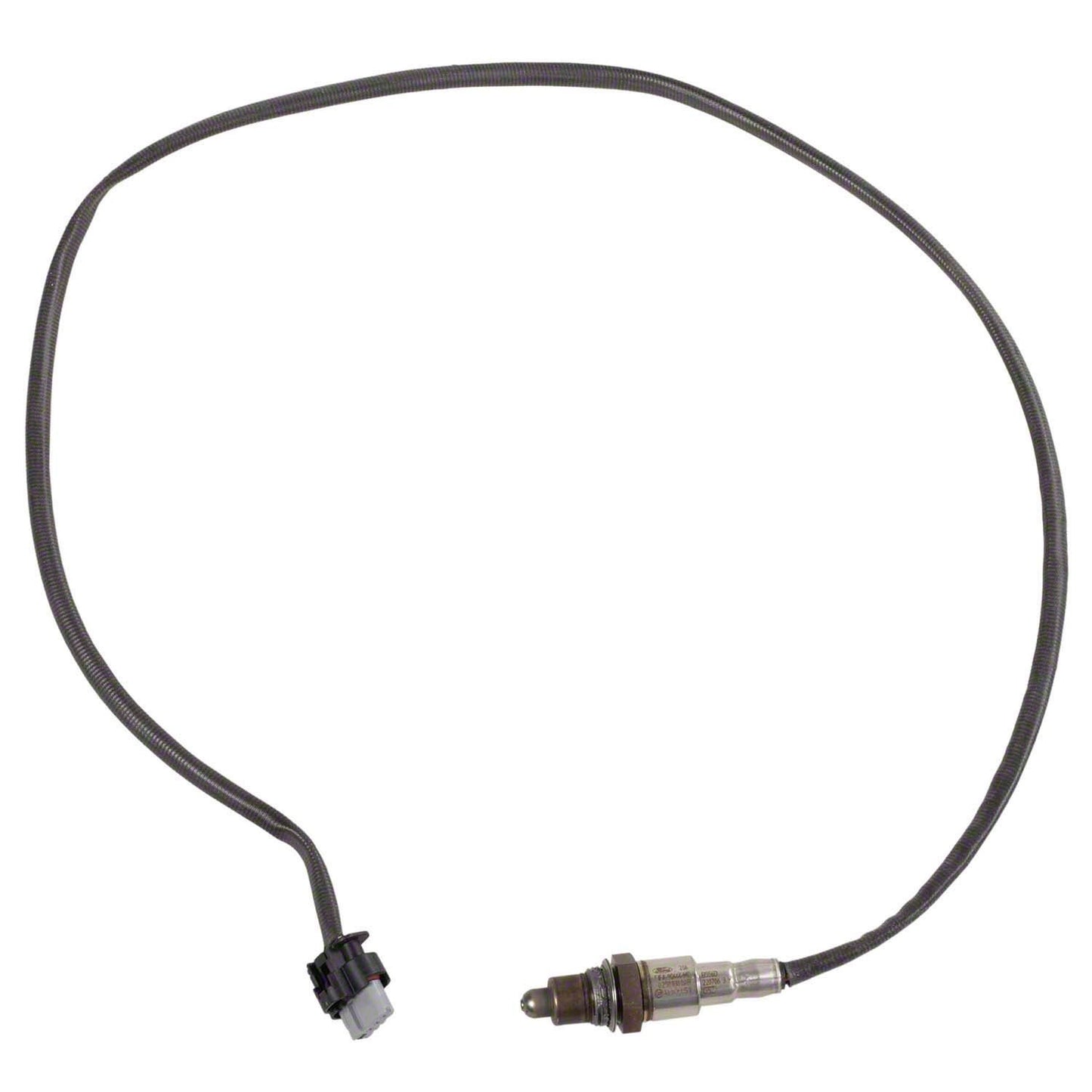 Motorcraft DY1615