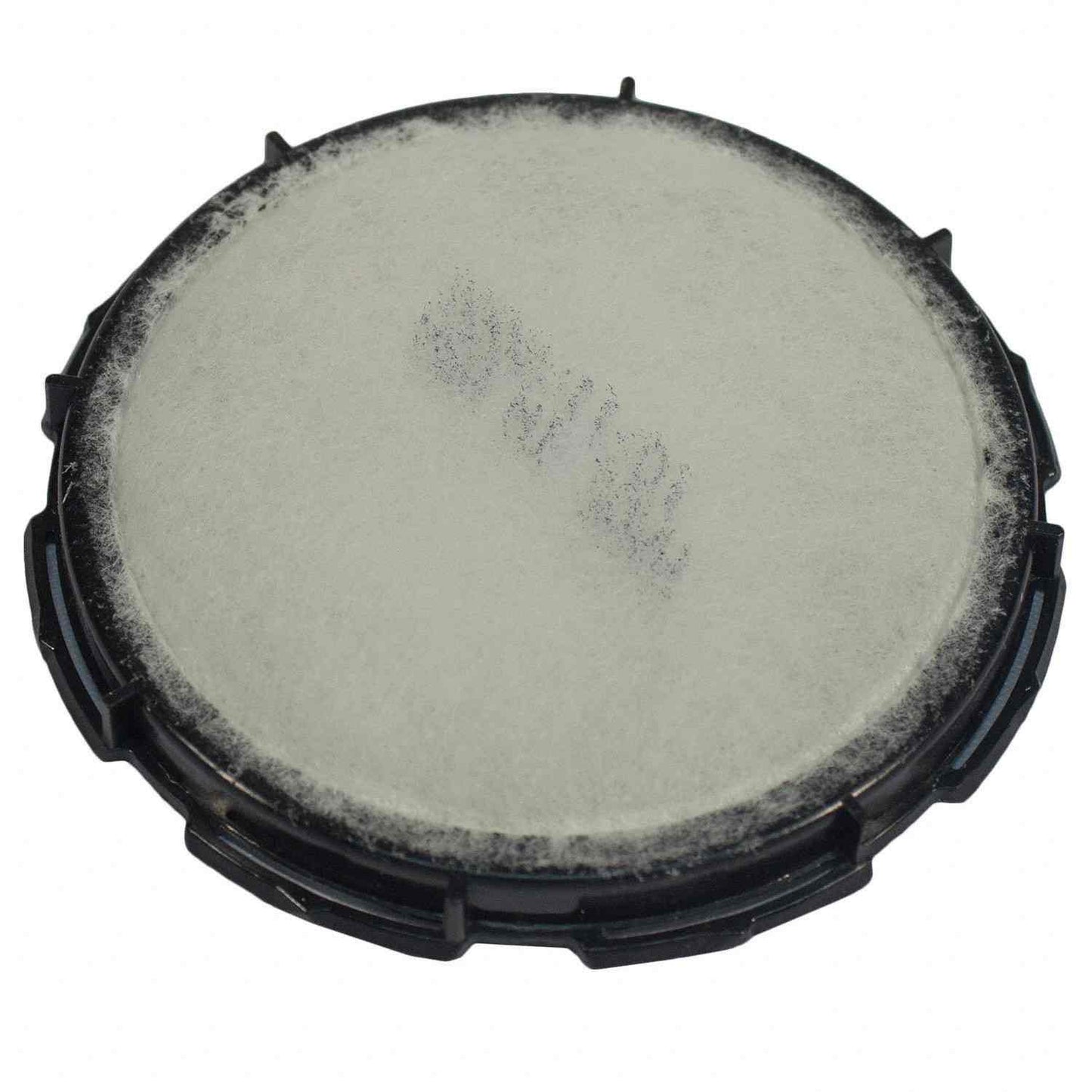 Motorcraft FS100