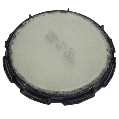 Motorcraft FS100