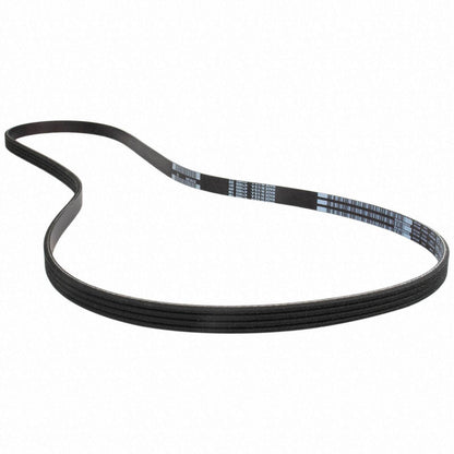 Motorcraft JK4546A