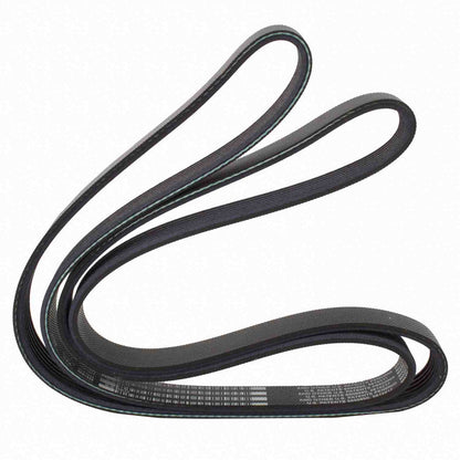 Motorcraft JK6648